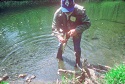 THE DIFFERENCE BETWEEN BANK FISHING AND STREAM WALKING