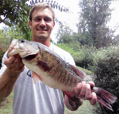 Florida- Record shoal bass caught in Chipola River