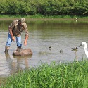 WATERFOWL HUNTERS ARE ADJUSTING THEIR TACTICS