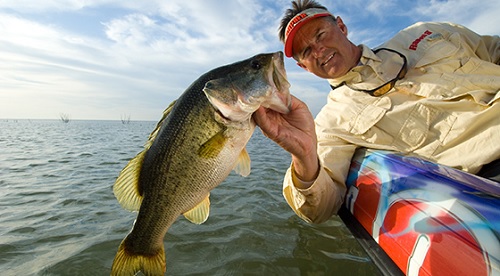 Big fish eating small fry-Toss an Ultra Light Pop