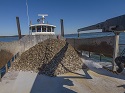 Harris Creek reef restoration at 350 acres, is largest ever