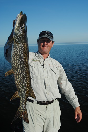 NORTHERN PIKE ON WALLEYE GEAR 2