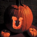 The Bass University Halloween Sale