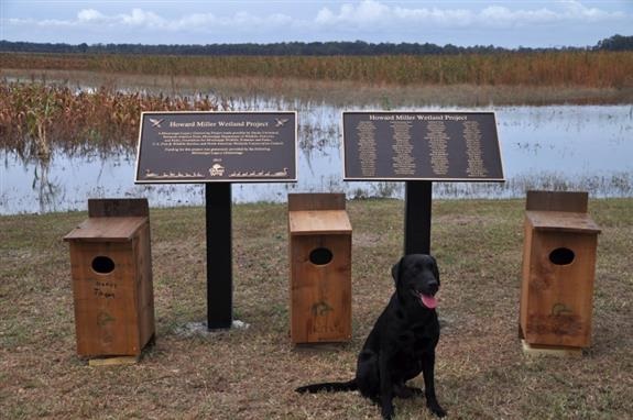 Wetland restoration project dedicated to Mississippi youths