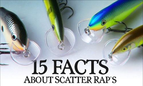 15 facts about Scatter Raps
