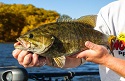 5 Best Smallmouth Destinations