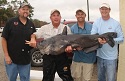 76-pound catfish caught out of Black's Camp at Santee Cooper