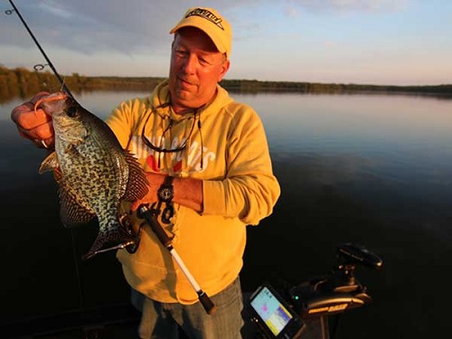 Drop-Shot Rigging For Crappies