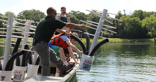 Eagle Scout Project Sinks PVC Pipe for Fish