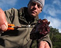 MeatEater Host Steven Rinella to Attend RMEF's Elk Camp