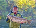 Spawning Time for Brown Trout on the Lower Chattahoochee River