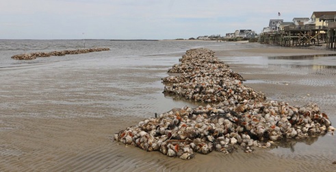 Changing Climate and the Delaware Bay