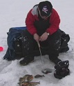Ice Fishing Bluegill