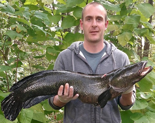 New Maryland Snakehead Archery Record