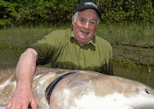 British Couple Lands Americna 12-foot sturgeon