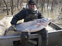 MISSISSIPPI RIVER BLUE CATFISH