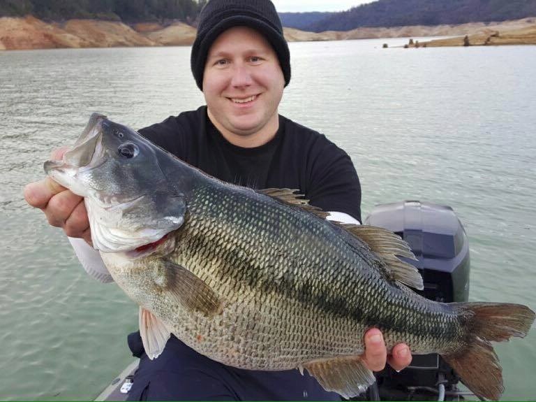 Possible New World Record Spotted Bass