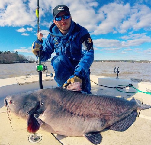 100-pound catfish caught on Lake Gaston