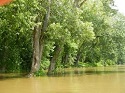 Fishing High Muddy Water