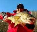 Georgia - New State Walleye Record Beating Old 1995 Record 1