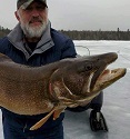Giant Lake Trout (Togue) Nears State Record In Maine 2