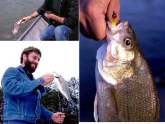How To Target Wintertime White Bass