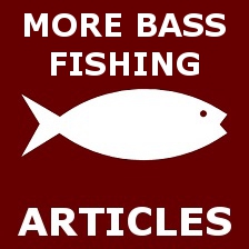 MORE BASS FISHING -Fishing Icon