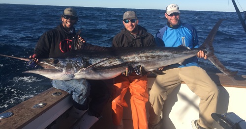 N.C. Announced A New State Record White Marlin
