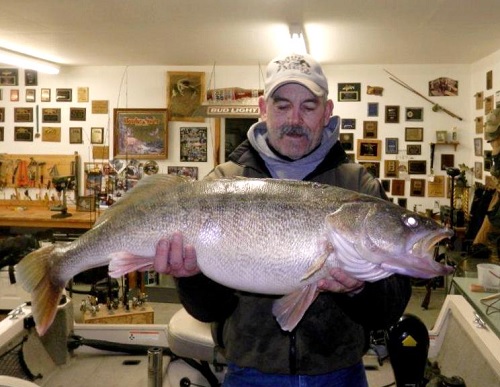 Record 20.32-pound walleye caught by Pasco man on Columbia River