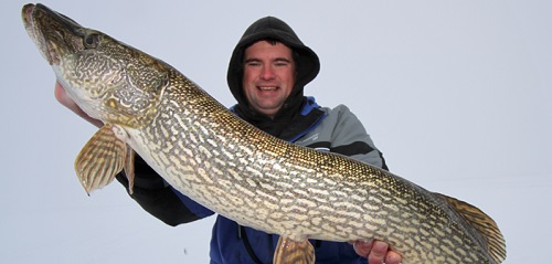 The Pursuit of Big Pike