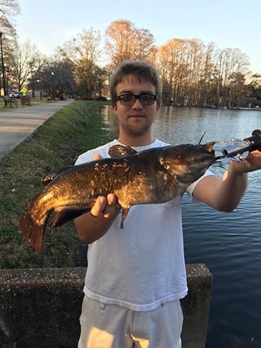 Angler Lands New State Record for Brown Bullhead