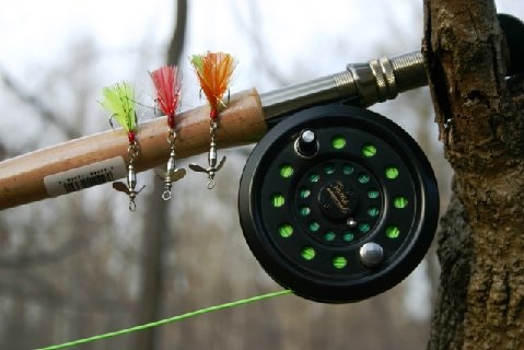 Bass, Walleye, Panfishing Catching Machine - The Magical Swirleybird 1