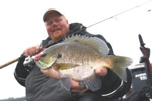 Big Water Humpheads From Northland Tackle