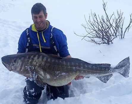 British Angler Catches World Record Cod 1