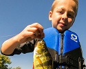 Pack snacks and bring minnows when you take a kid fishing 1