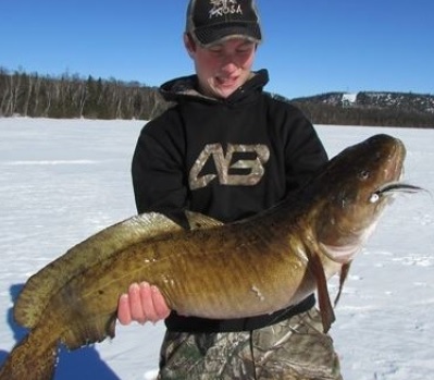 Record-breaking freshwater cod, burbot, eelpout, cusk landed in Ontario