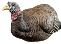 RedHead Reality Series Decoys- Gobblers fooled by new turkey trio