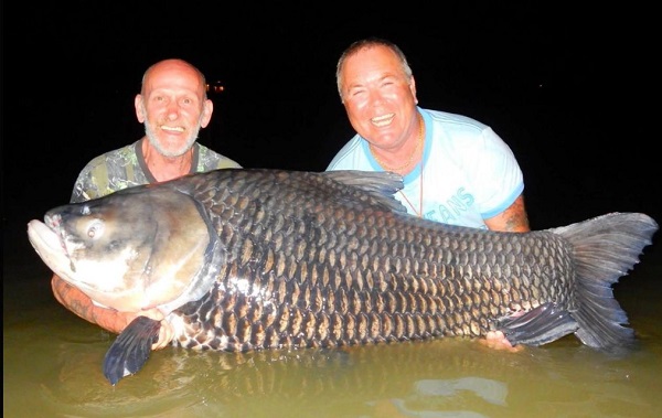 Fishermen use dead friend's ashes as bait to catch 180-pound carp