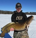 Ontario record-breaking freshwater cod