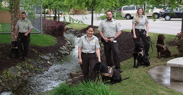 Wildlife Detection Dogs - Nosing Out the Bad Guys 2