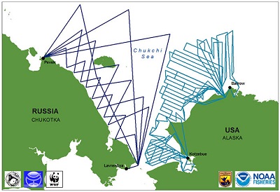 Bilateral Effort Underway to Assess Populations of Arctic Seals and Polar Bears 2