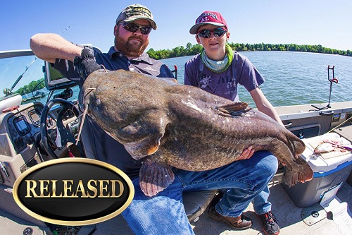 Mitchell's Flathead Catfish