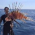 Pensacola Tournament Takes a Bite out of Lionfish Population