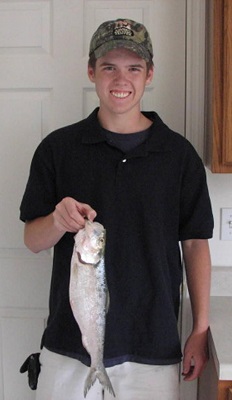 Record Skipjack Herring