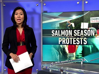 Total shutdown of Puget Sound salmon season sparks anger