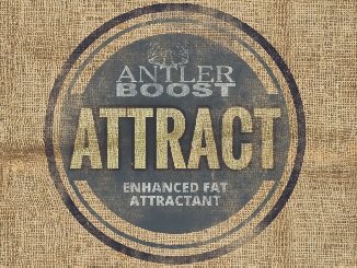 Antler Boost Introduces Attract