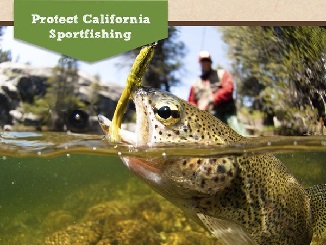 California Marine Life Protection Act: The ultimate bait and switch
