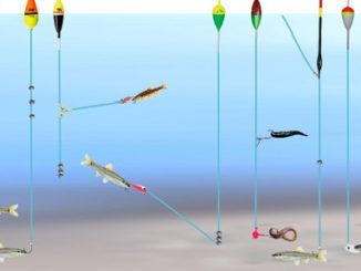 Fishing Tips - How To Set Up Dropper Rigs