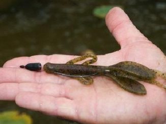 Fooling Summer Bass With A 1-2 Punch