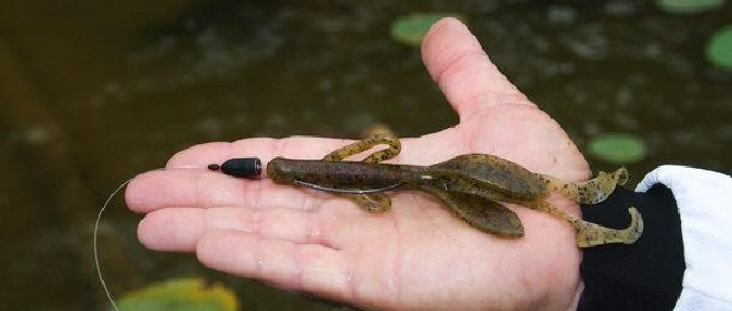 Fooling Summer Bass With A 1-2 Punch